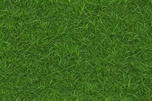 嫩草视频国产免费下载,国产免费下载，畅享高清影视盛宴