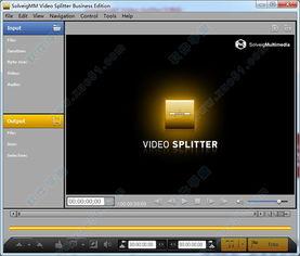 国产wm视频在线