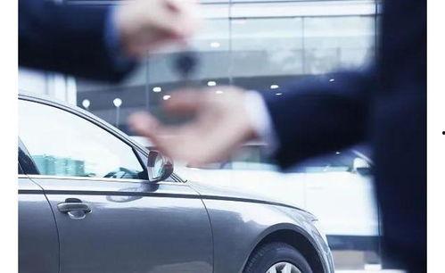 国产进口二手车视频直播,品质对比与选购指南