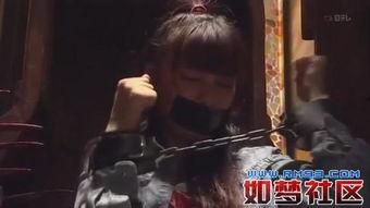 人人视频里边有国产剧吗,人人视频独家呈现精彩剧集