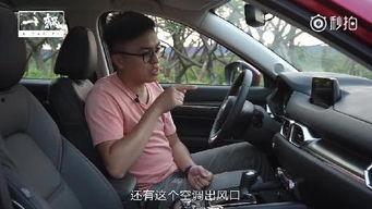 国产模型车仿真视频,创新科技与动感驾驶体验完美融合