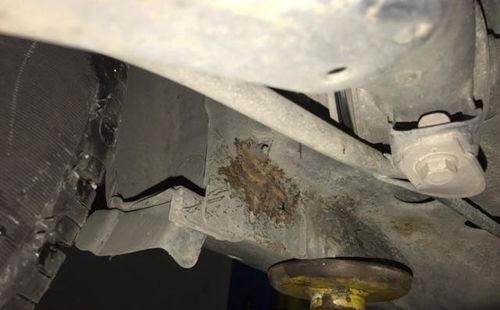 国产汽车漏水怎么办视频