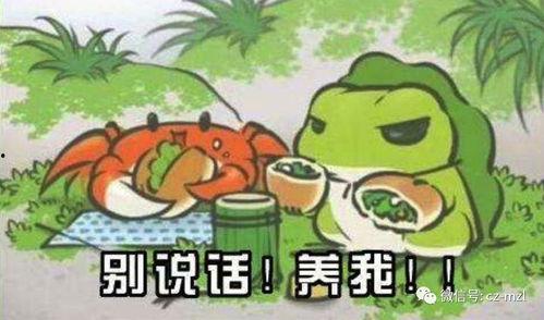 福利视频合集国产小青蛙