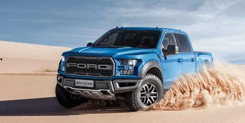 国产猛禽如何看公母视频  第1张