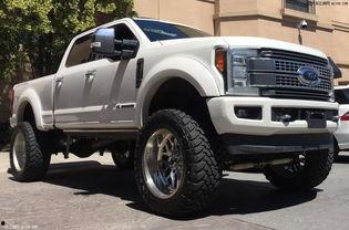 国产猛禽如何看公母视频  第2张