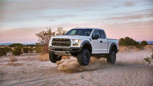 国产猛禽如何看公母视频  第3张