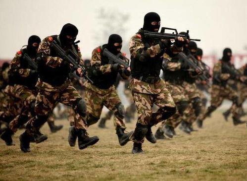 国产武警特种部队视频  第1张