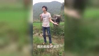 国产合集福利视频  第3张